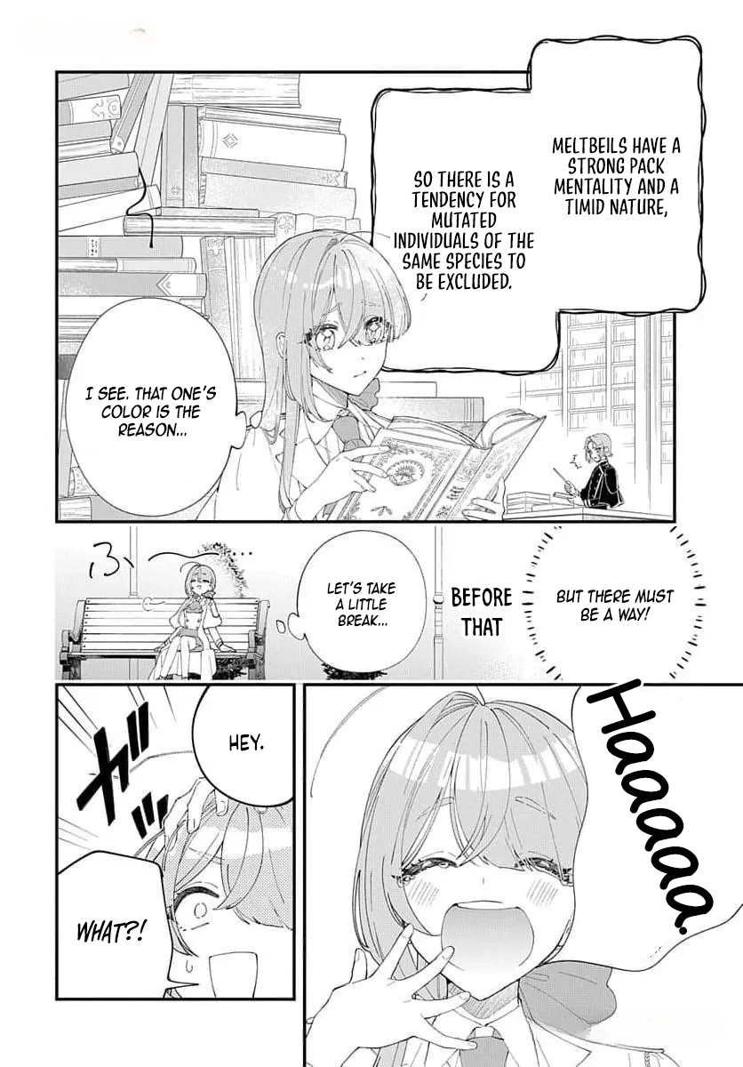 My Black Mage Is Too Cute! Chapter 4 Page 9